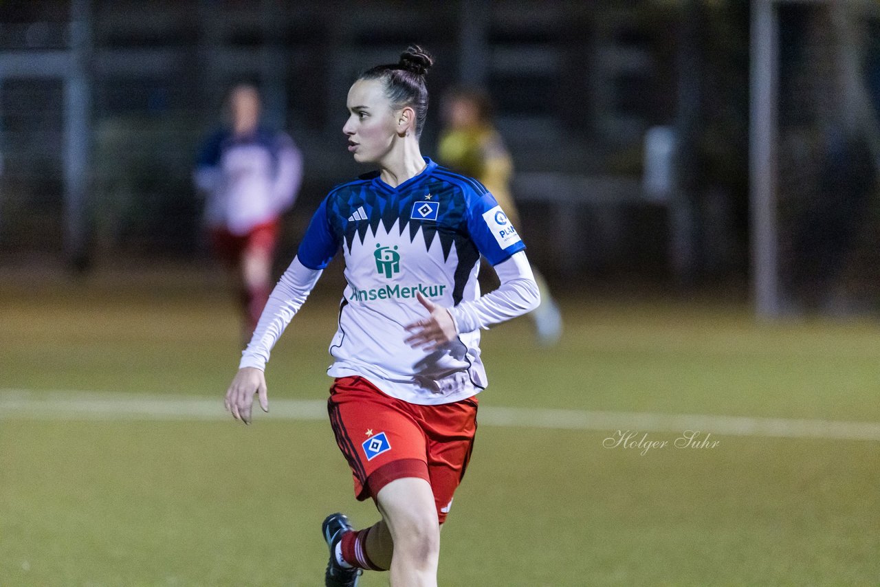 Bild 351 - F SC Alstertal-Langenhorn - Hamburger SV 3 : Ergebnis: 2:2